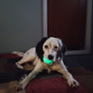 Meet your Posher, Mike